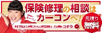 カーコンビニ倶楽部　　有限会社　逆井自動車