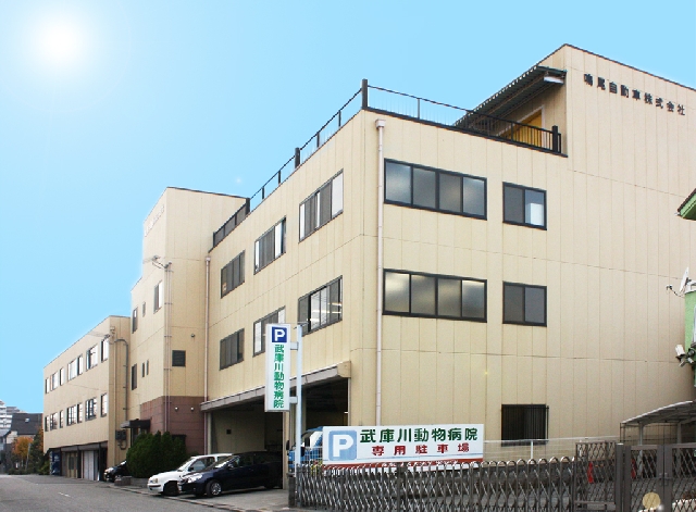 鳴尾自動車株式会社